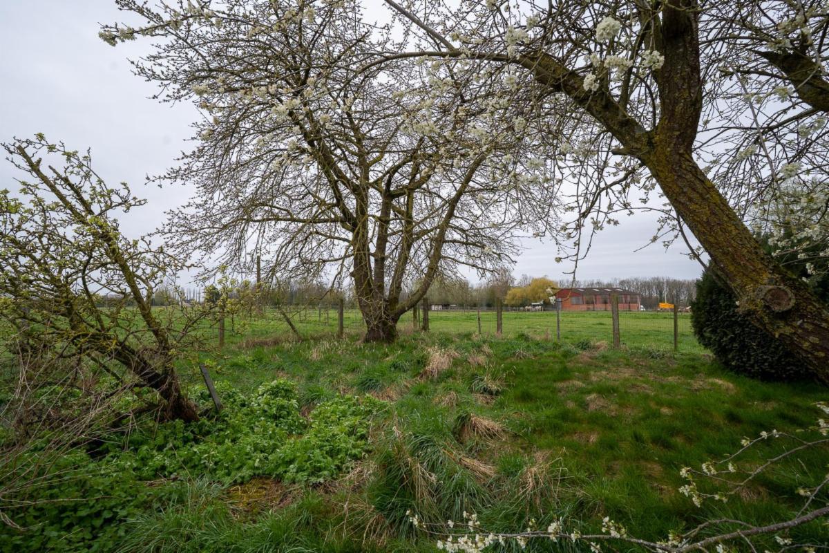 photo 25 du bien Maison 4 façades