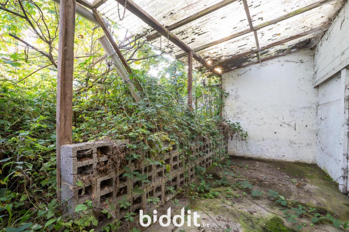 photo 16 du bien Maison 2 façades