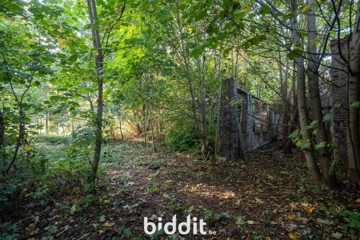 photo 17 du bien Maison 2 façades