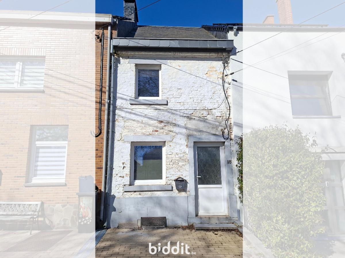Maison enchères BIDDIT - Place de Ham18, 5190 Jemeppe-sur-Sambre