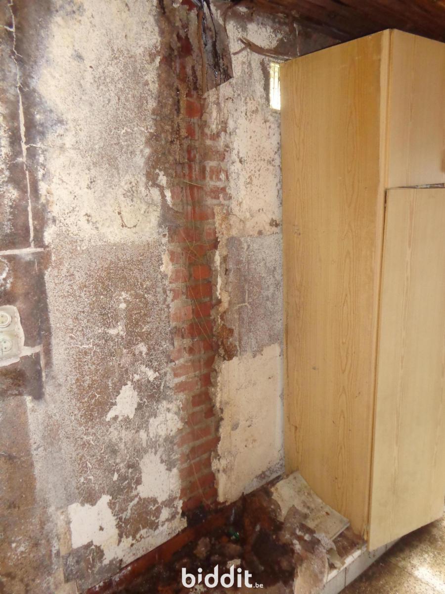 photo 8 du bien Maison 2 façades avec jardin à rénover 