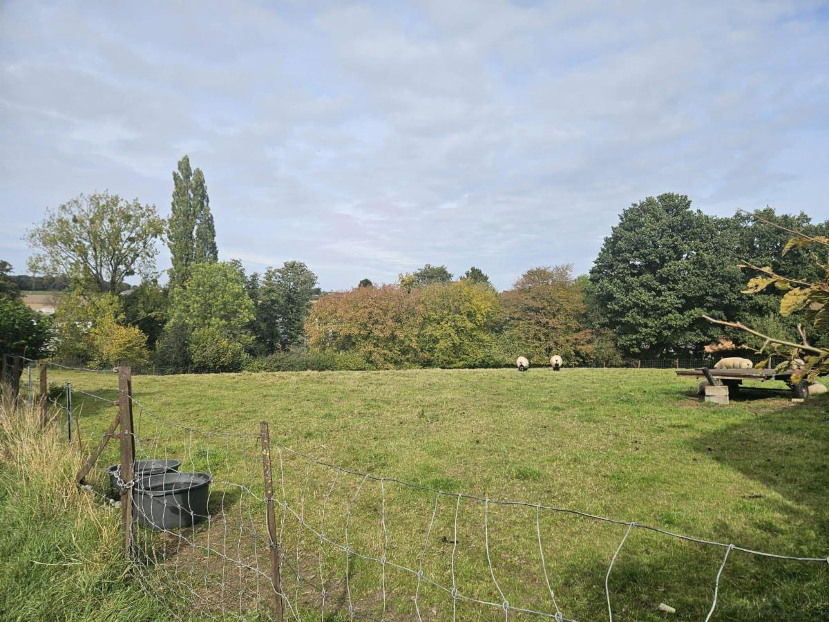 Terrain à vendre - Rue du Pré Barré, 6280 Joncret