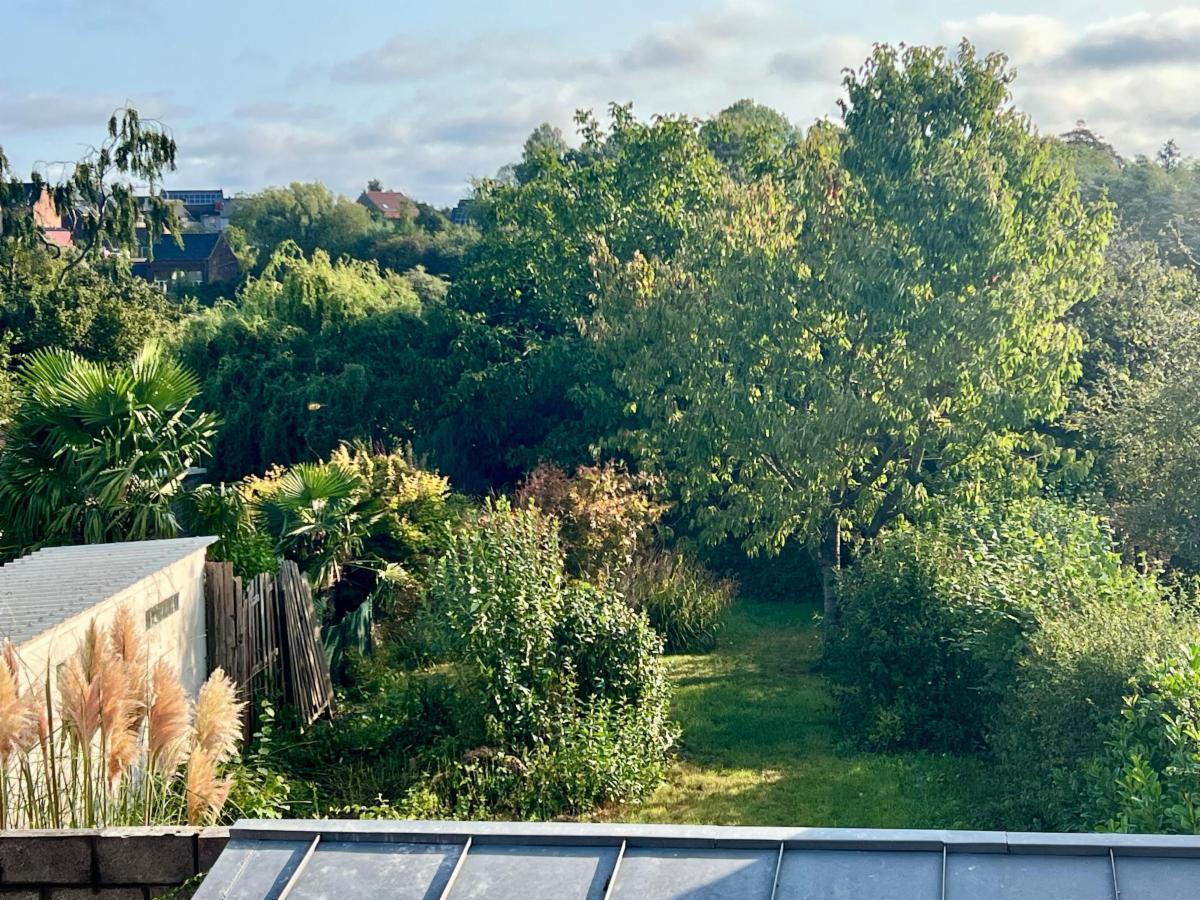 photo 6 du bien maison d'habitation avec jardin