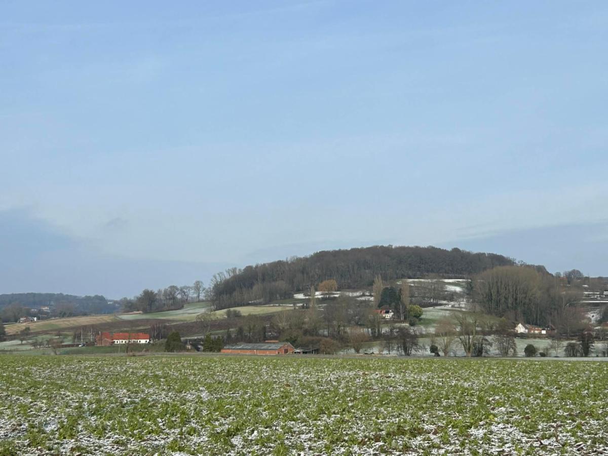 photo 6 du bien Terrain de 12 ares et 59 centiares