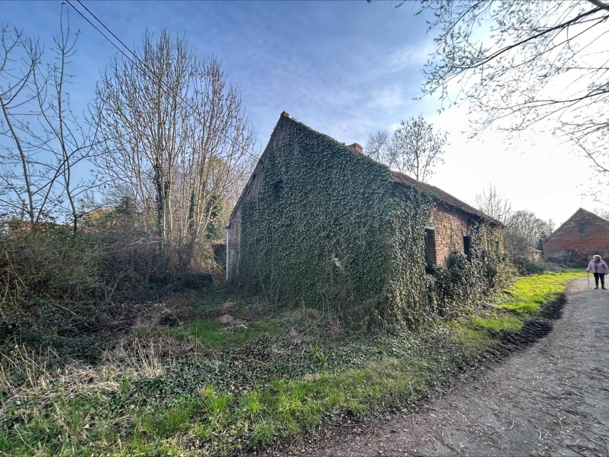 photo 3 du bien maison 4 façades avec jardin 