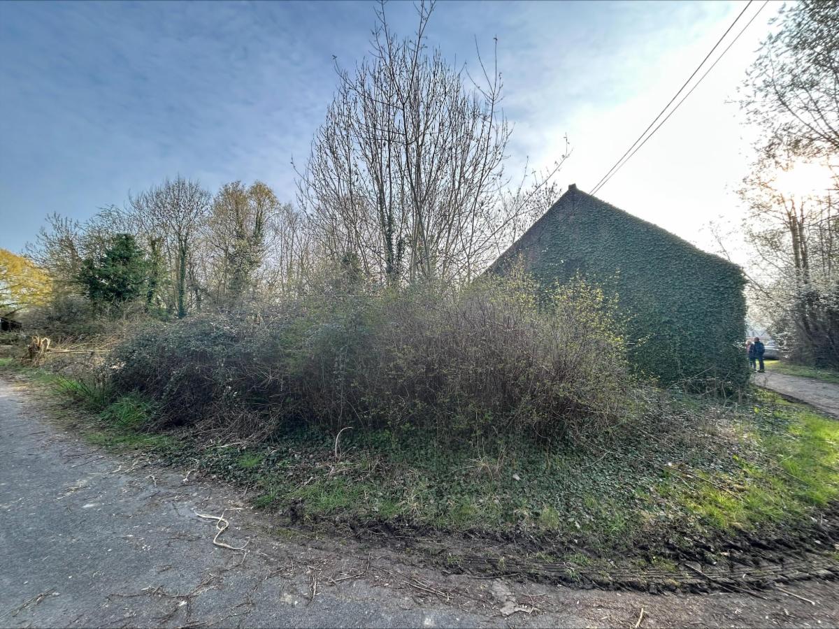 photo 4 du bien maison 4 façades avec jardin 