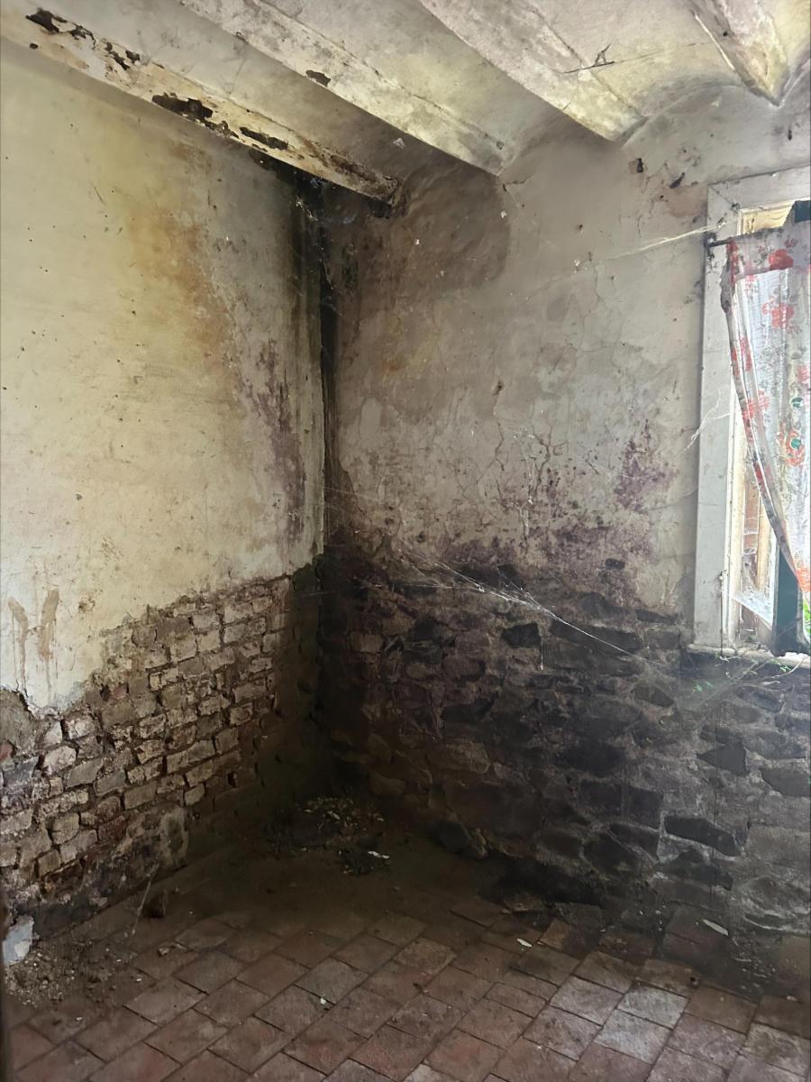 photo 7 du bien maison 4 façades avec jardin 