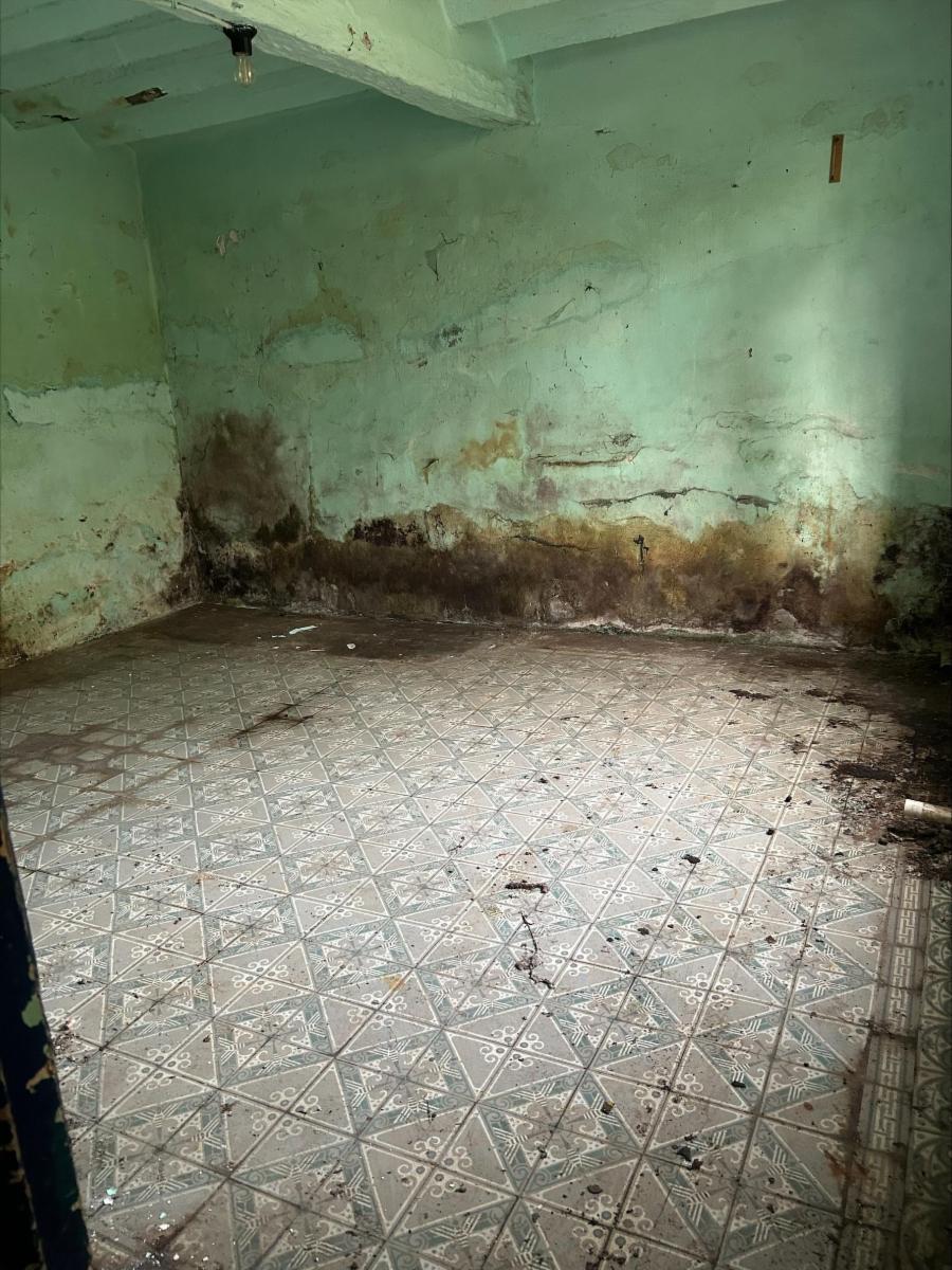 photo 9 du bien maison 4 façades avec jardin 