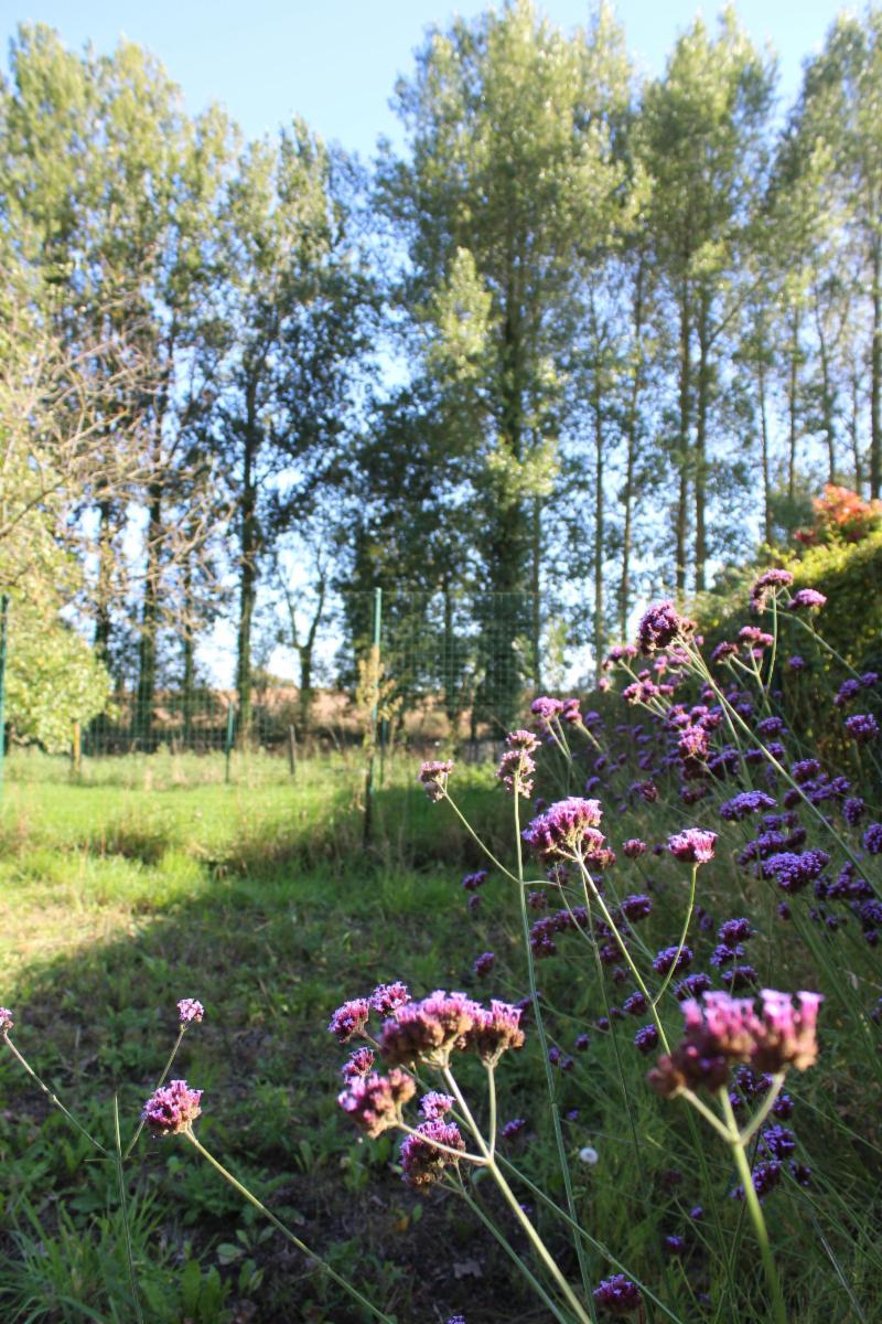 photo 8 du bien Maison de plain-pied sur environ 60 ares.