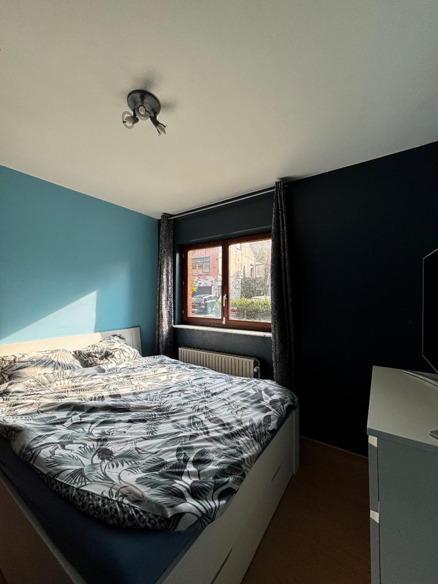 Photo 5 du bien Belle maison 4 façades