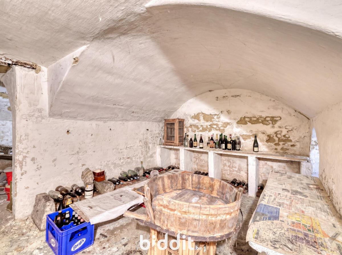 photo 20 du bien Bien exceptionnel et rare sur le marché.