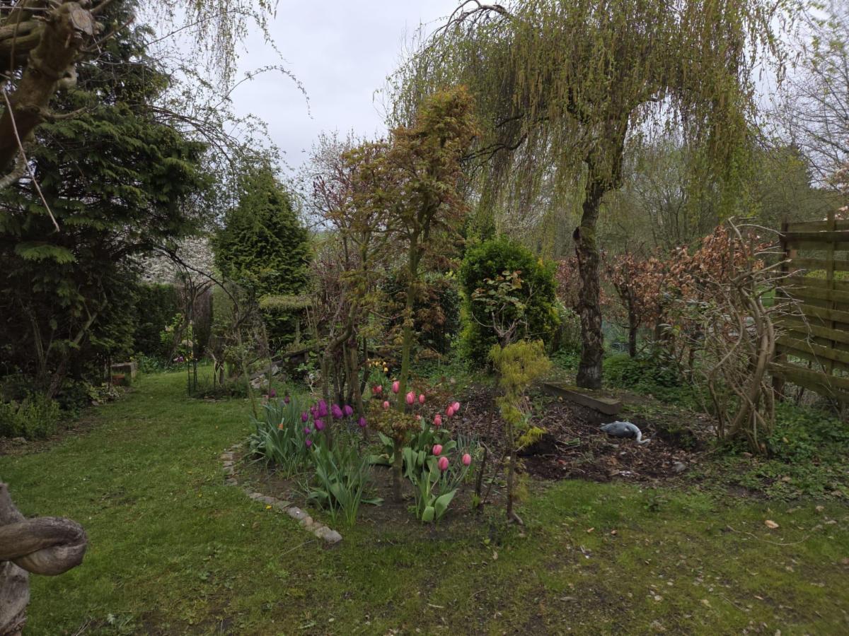 photo 14 du bien MAISON 2 FAÇADES AVEC 3 CHAMBRES, DÉPENDANCES ET JARDIN