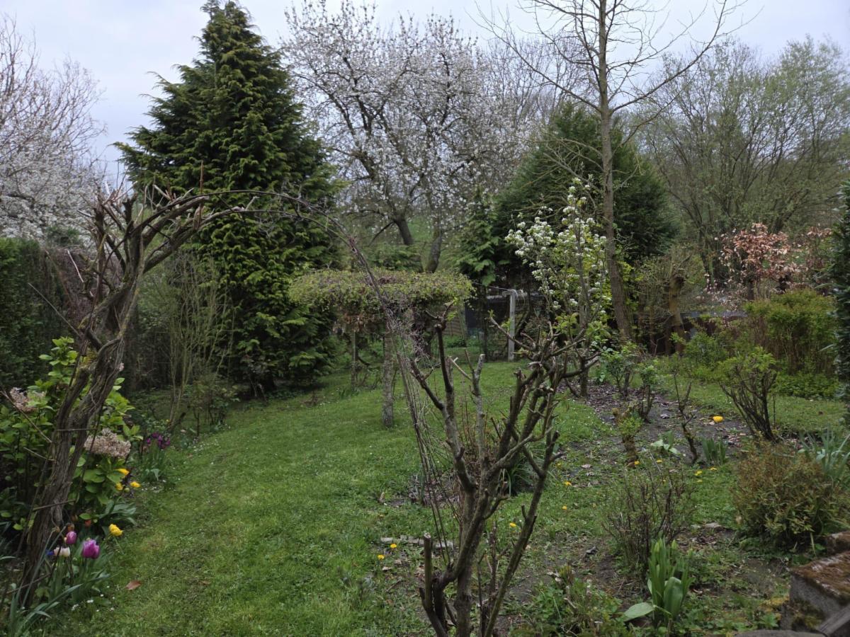 photo 16 du bien MAISON 2 FAÇADES AVEC 3 CHAMBRES, DÉPENDANCES ET JARDIN