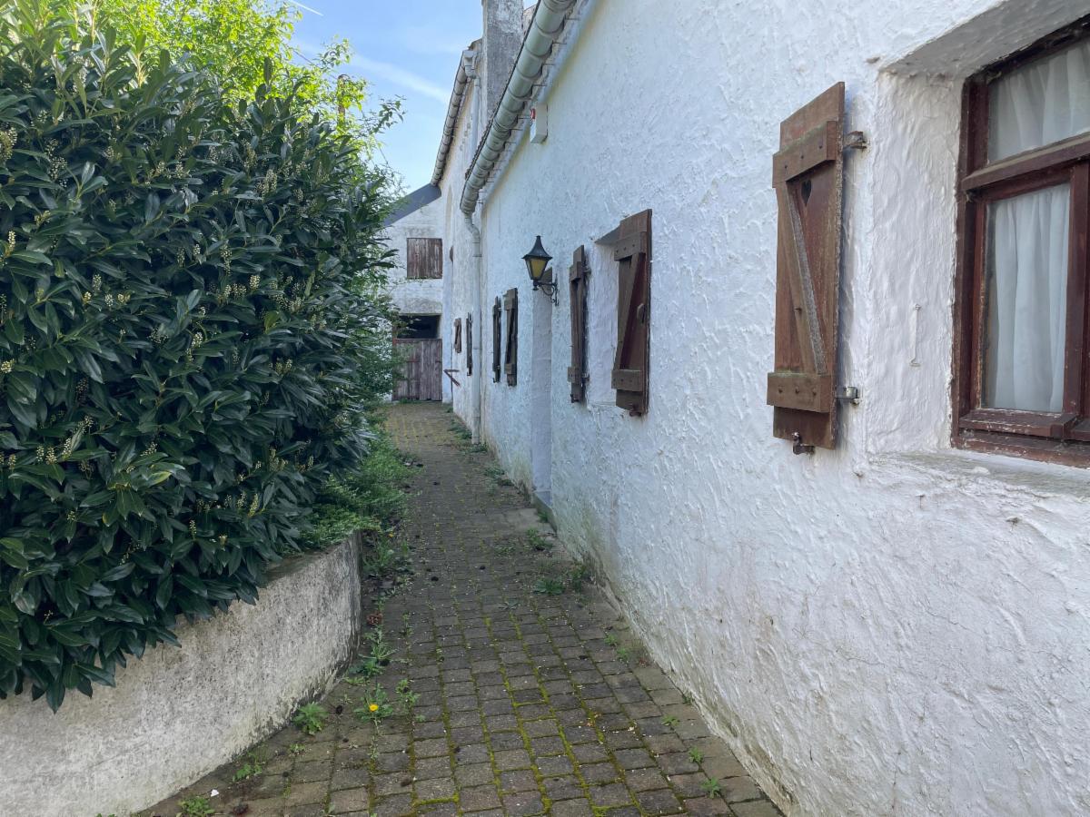 Maison à vendre - Stocquoy8, 7830 Hellebecq