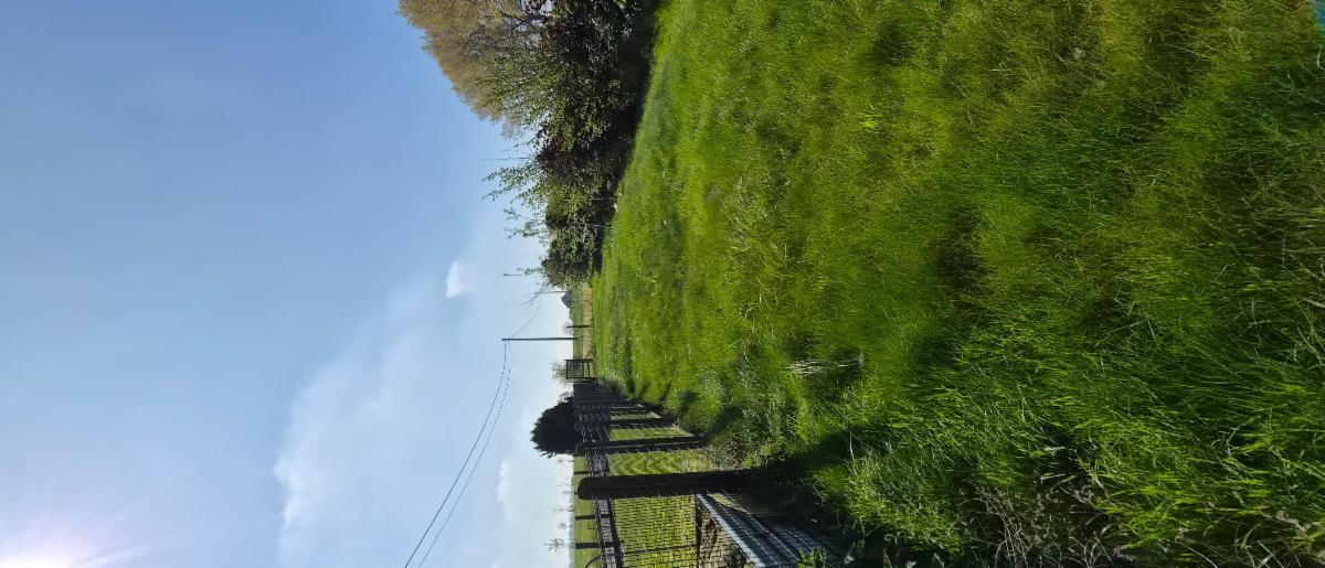 photo 9 du bien Maison d'habitation 2 façades.