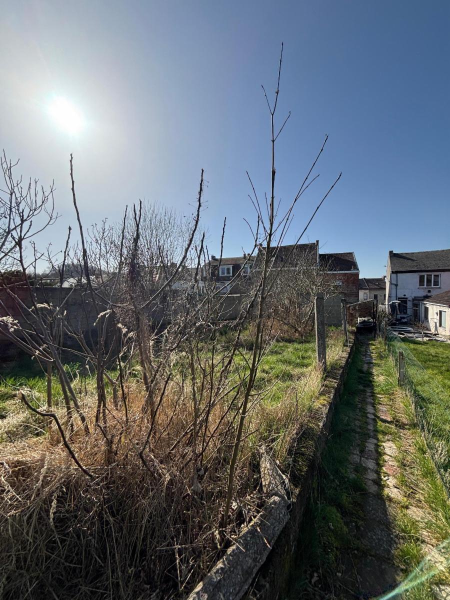 photo 3 du bien Maison trois façades à rénover avec jardin