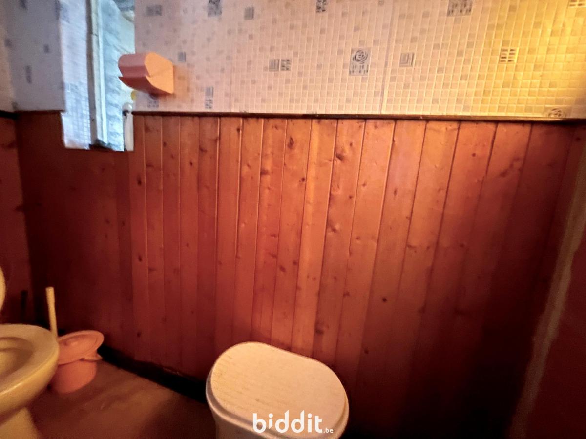 photo 10 du bien Maison 2 façades avec jardin