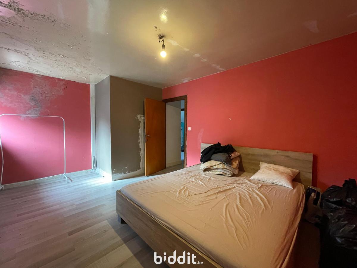 photo 10 du bien Maison 3 façades avec garage, cour et jardin