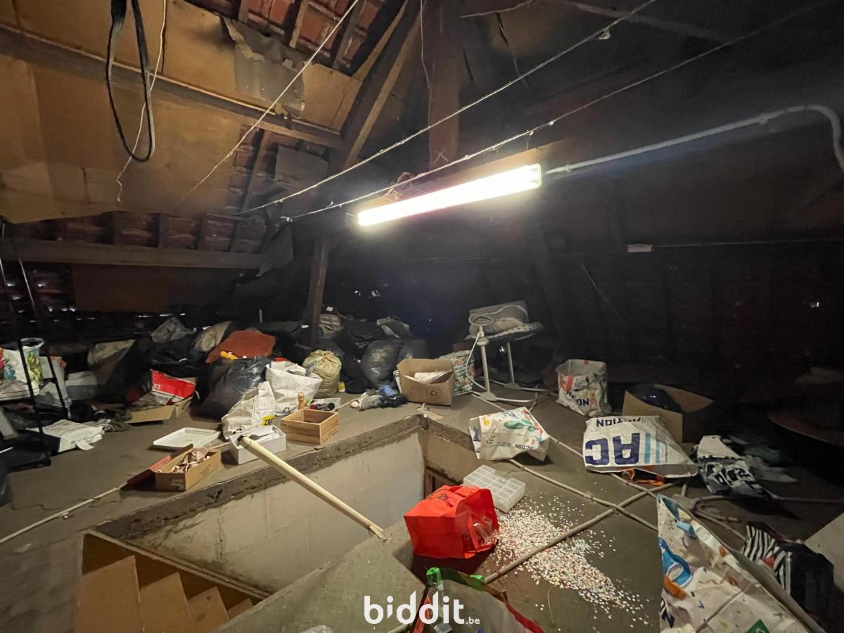 photo 11 du bien Maison 3 façades avec garage, cour et jardin