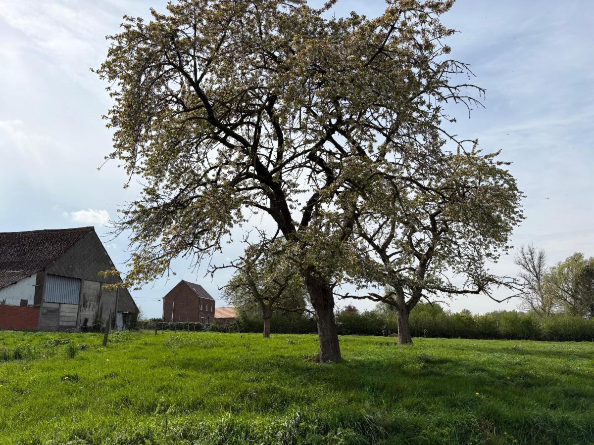 Terrain à vendre - Rue des Sarts de Wannebecq, 7861 Wannebecq