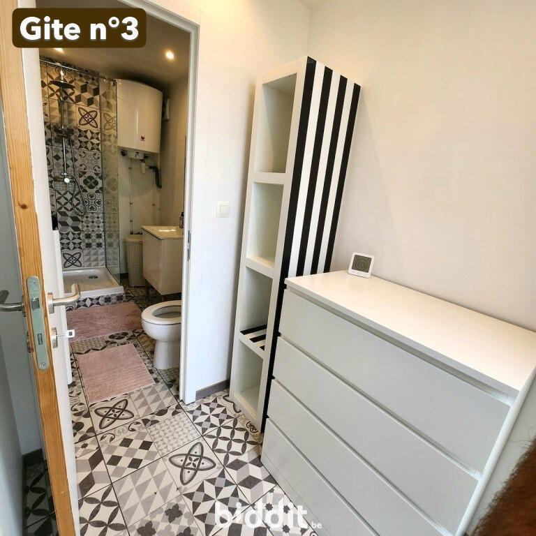 photo 30 du bien Maison de caractère + 3 gîtes (R locatifs 3.700€/mois) 