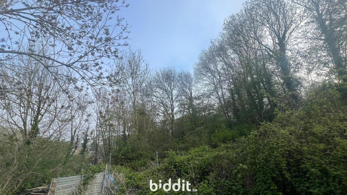 photo 2 du bien Maison d'habitation avec grand jardin, à rénover entièrement