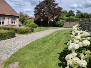 photo 13 du bien Maison unifamiliale construite en 1985 sur 1.214 m2 