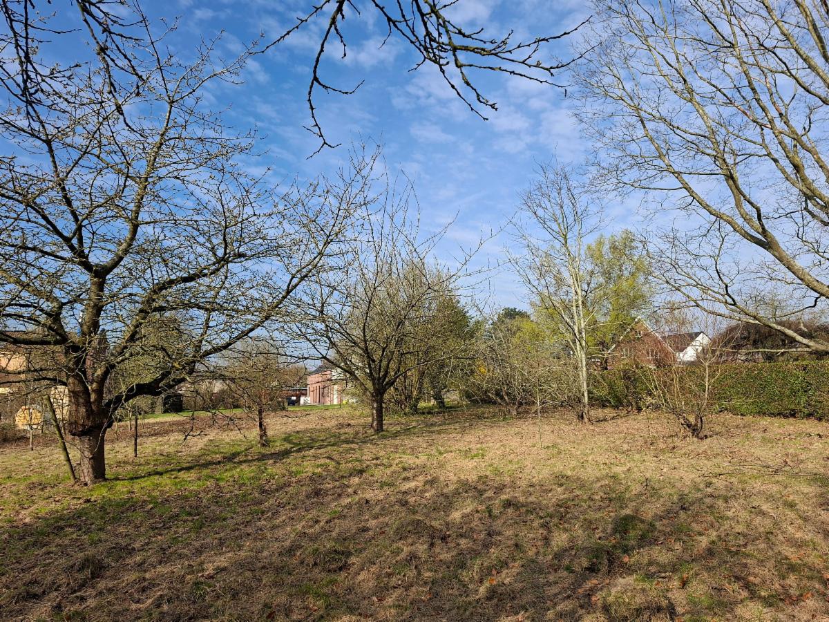 photo 18 du bien Maison plain-pied de type fermette avec terrain bâtissable