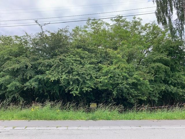 Terrain à vendre - Rue de Familleureux, 7170 Bois-d'haine