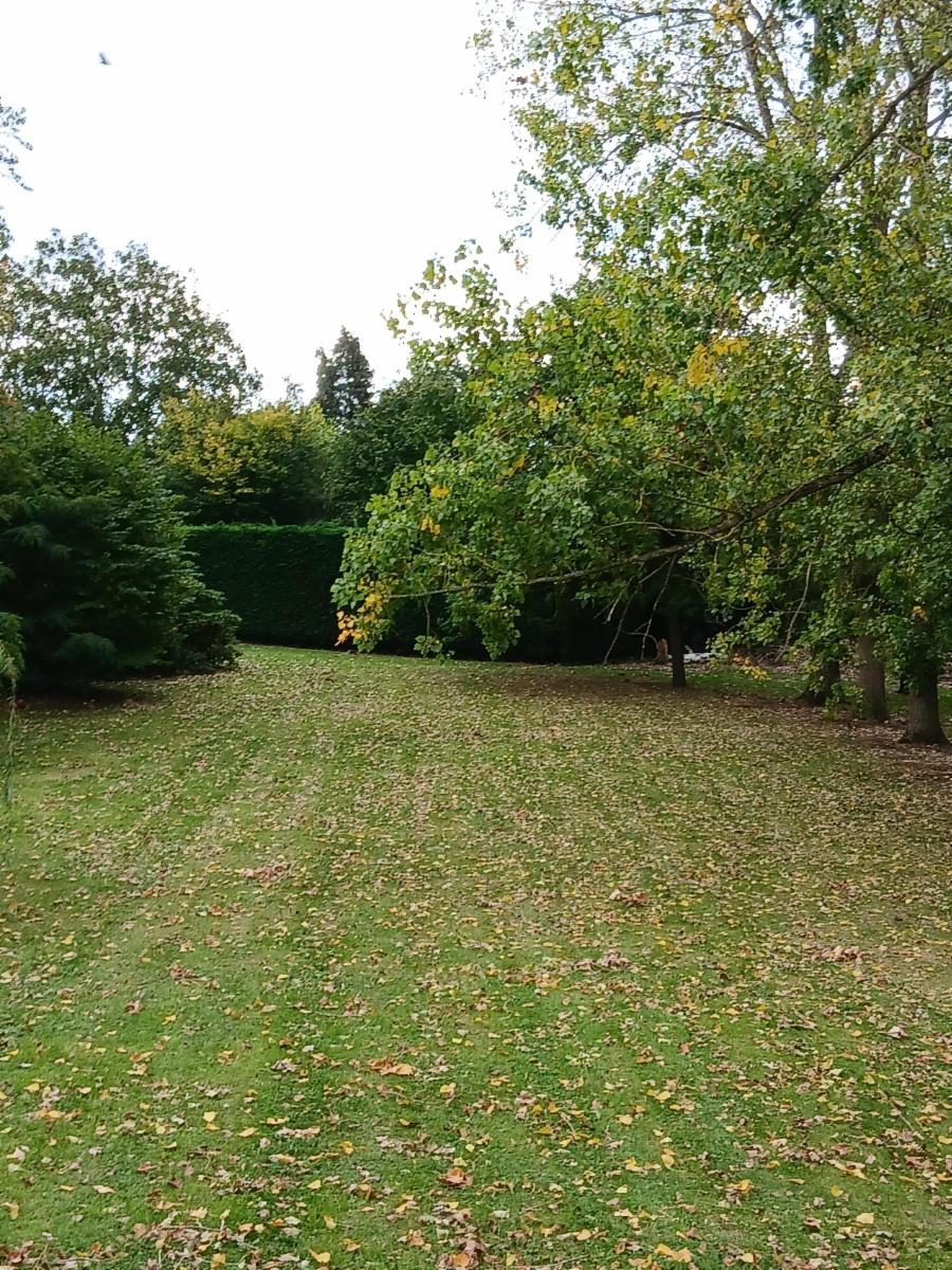 photo 2 du bien terrain (LOT 1)