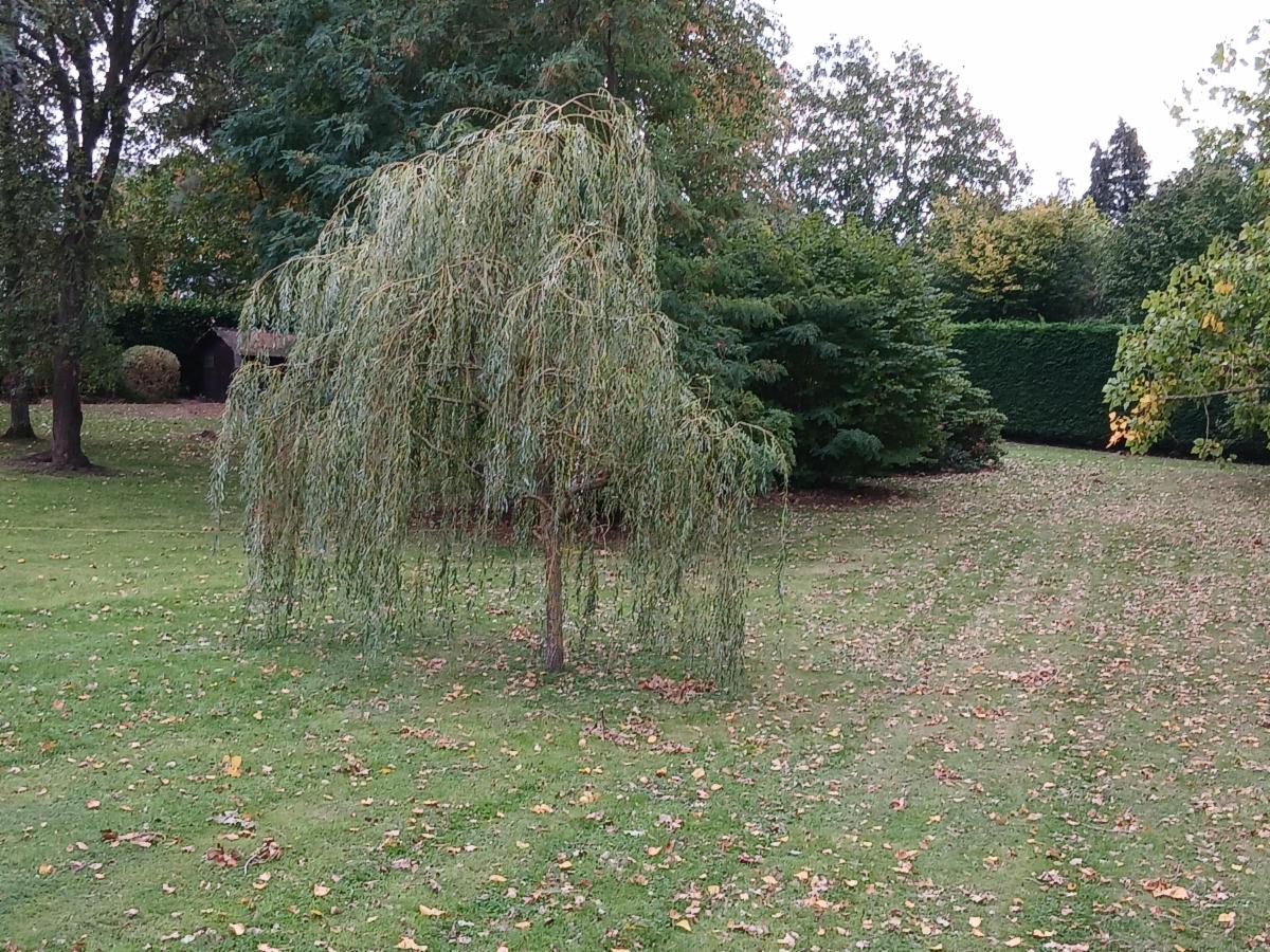 photo 3 du bien terrain (LOT 1)