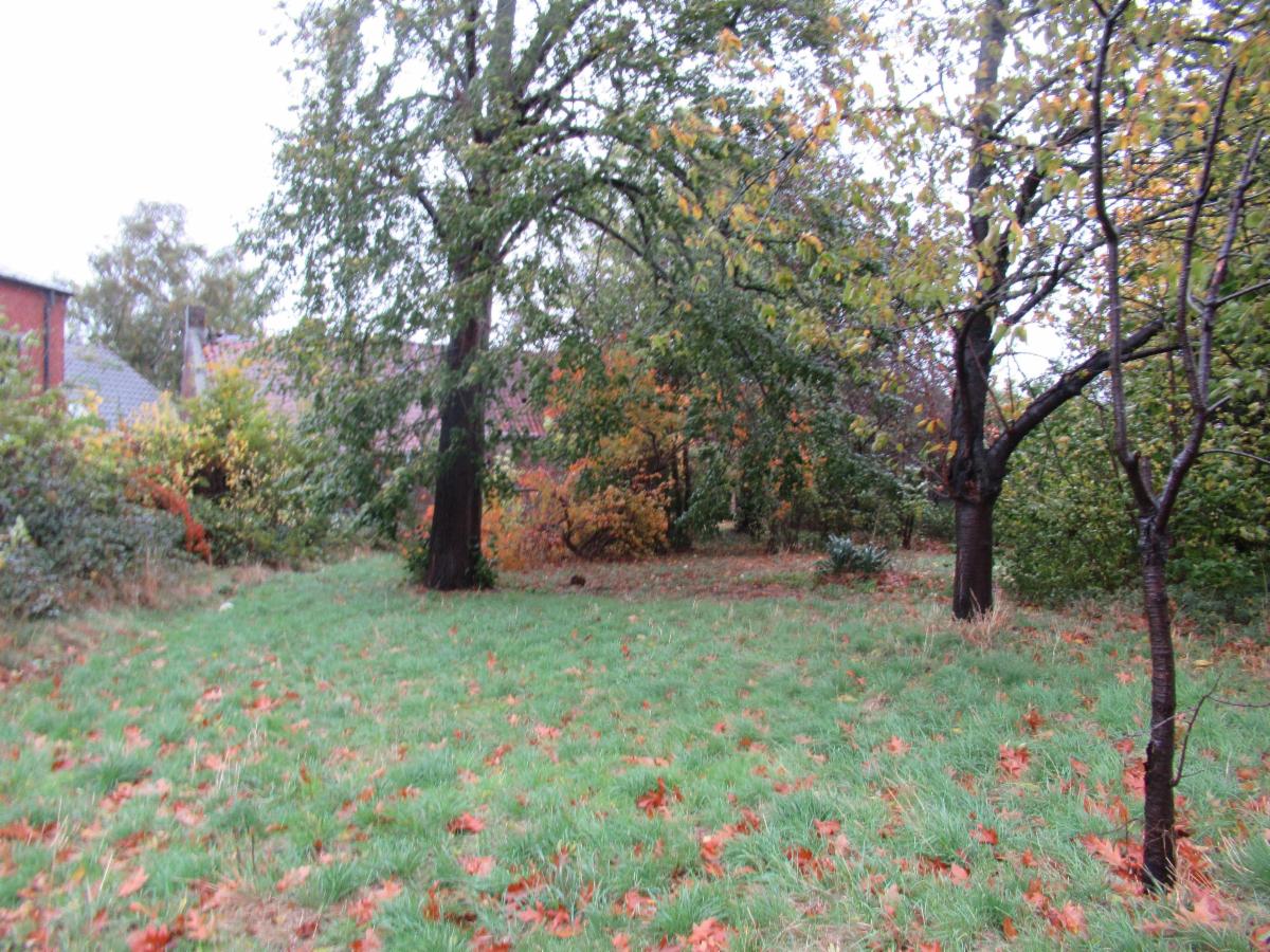 photo 19 du bien Maison d'habitation unifamiliale trois façades