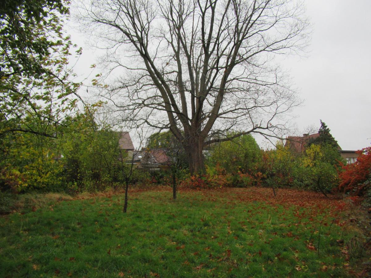photo 20 du bien Maison d'habitation unifamiliale trois façades