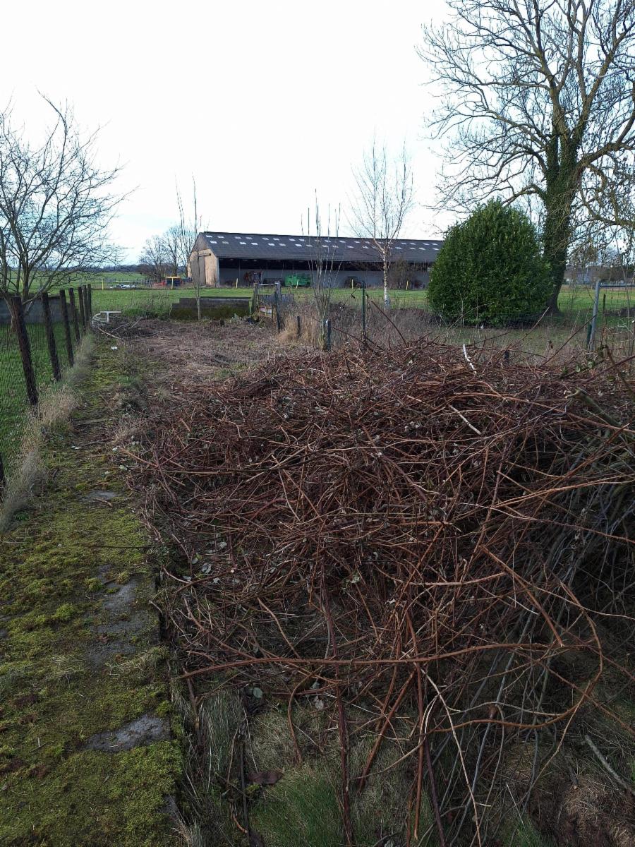 photo 13 du bien Maison à rénover sur Naast