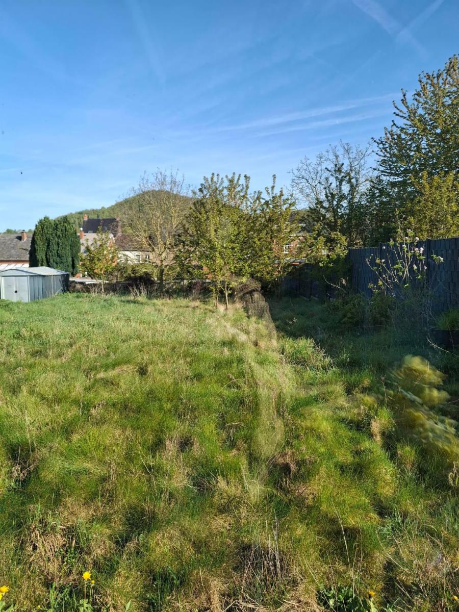 photo 22 du bien Villa de plain pied avec garage et jardin- bien située