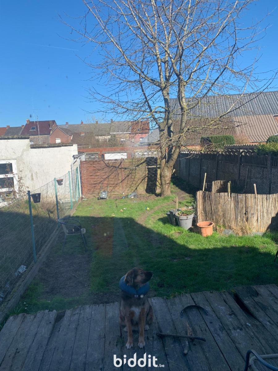 photo 12 du bien Maison 3 façades avec jardin et garage à La Louvière.