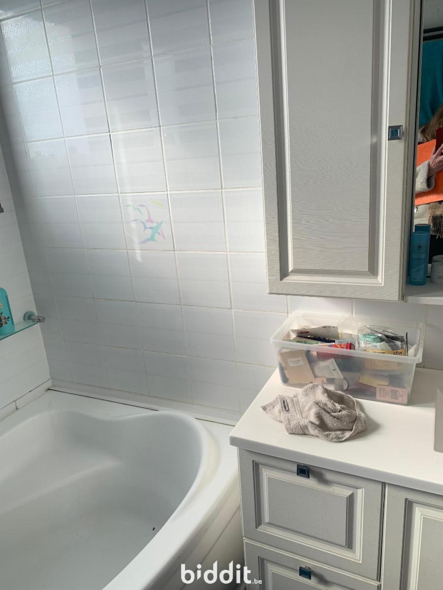 photo 19 du bien Maison 3 façades avec jardin et garage à La Louvière.