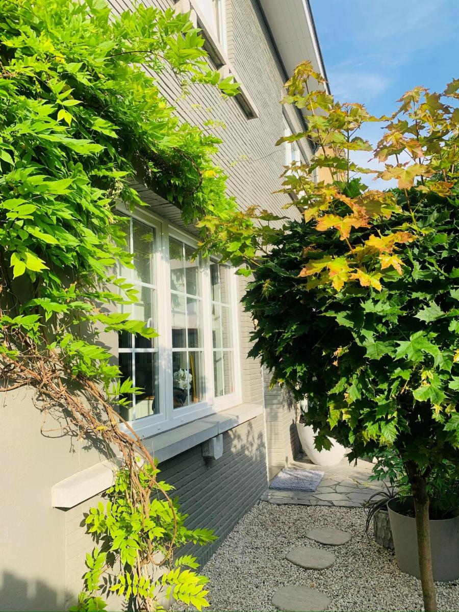 photo 18 du bien Maison de maître d’exception – ± 270 m² – avec jardin