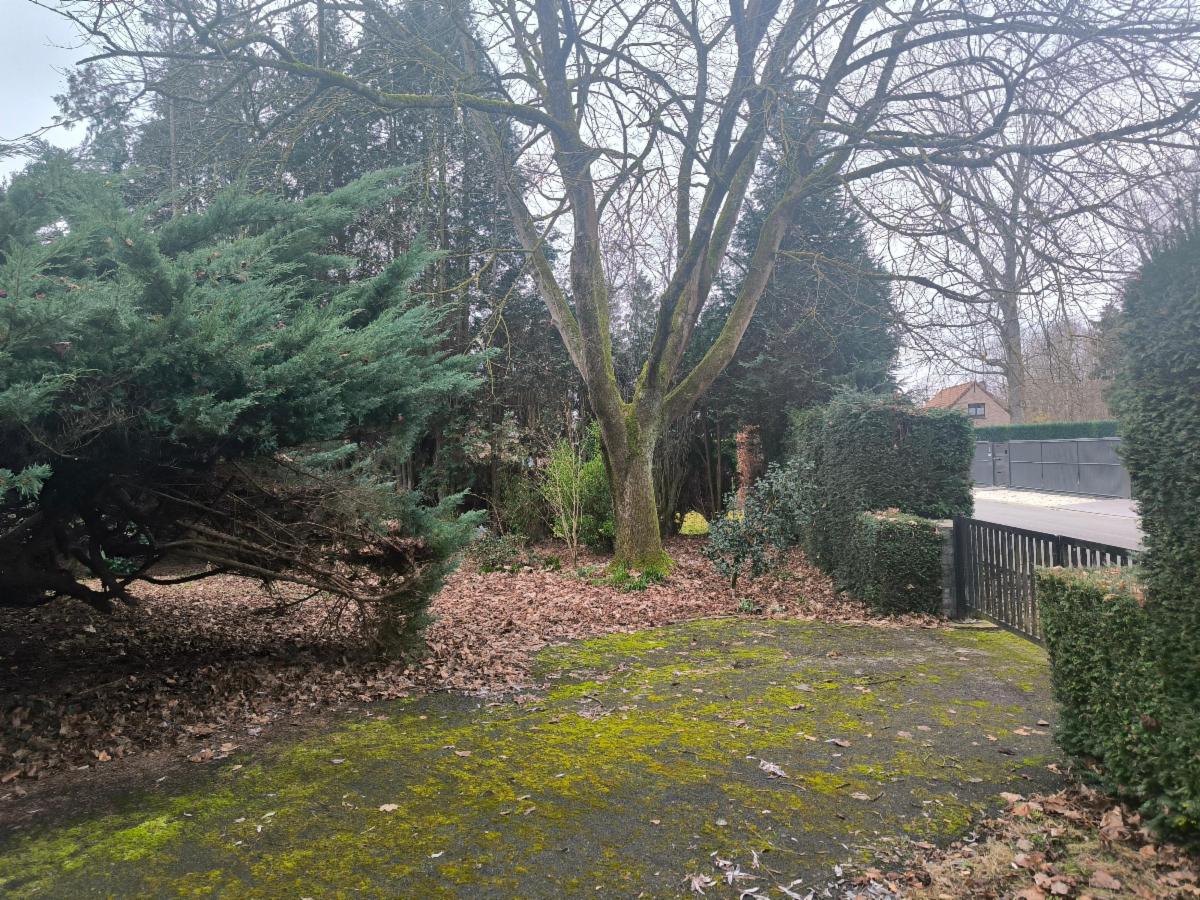 photo 6 du bien VILLA DE CARACTÈRE + PASSAGE LATERAL + GRAND JARDIN ET BOIS