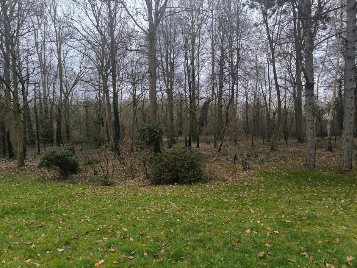 photo 7 du bien VILLA DE CARACTÈRE + PASSAGE LATERAL + GRAND JARDIN ET BOIS