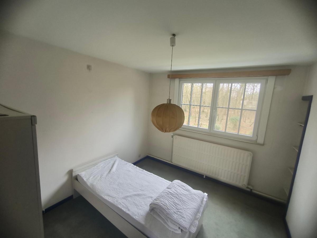 photo 19 du bien VILLA DE CARACTÈRE + PASSAGE LATERAL + GRAND JARDIN ET BOIS