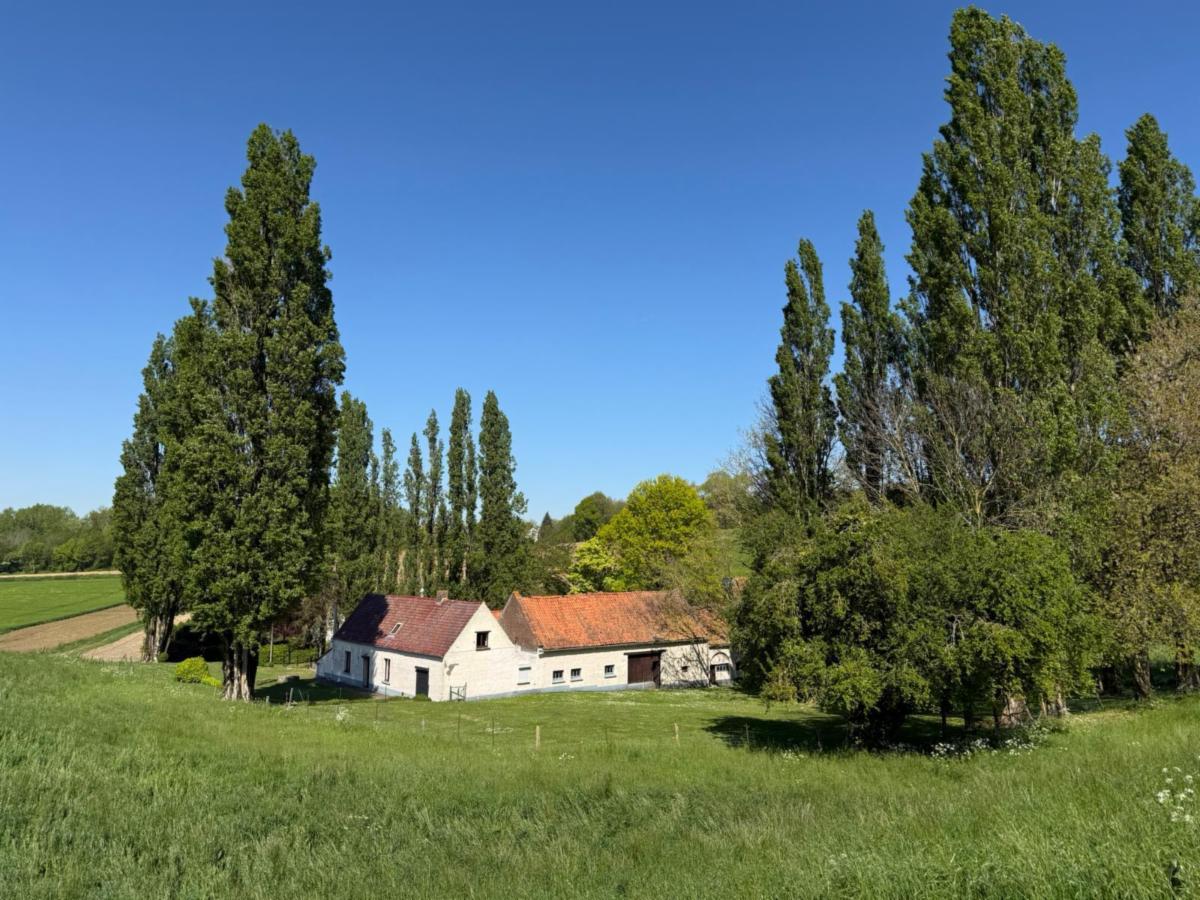 Maison à vendre - Rue de la Folie3, 7542 Mont-Saint-Aubert