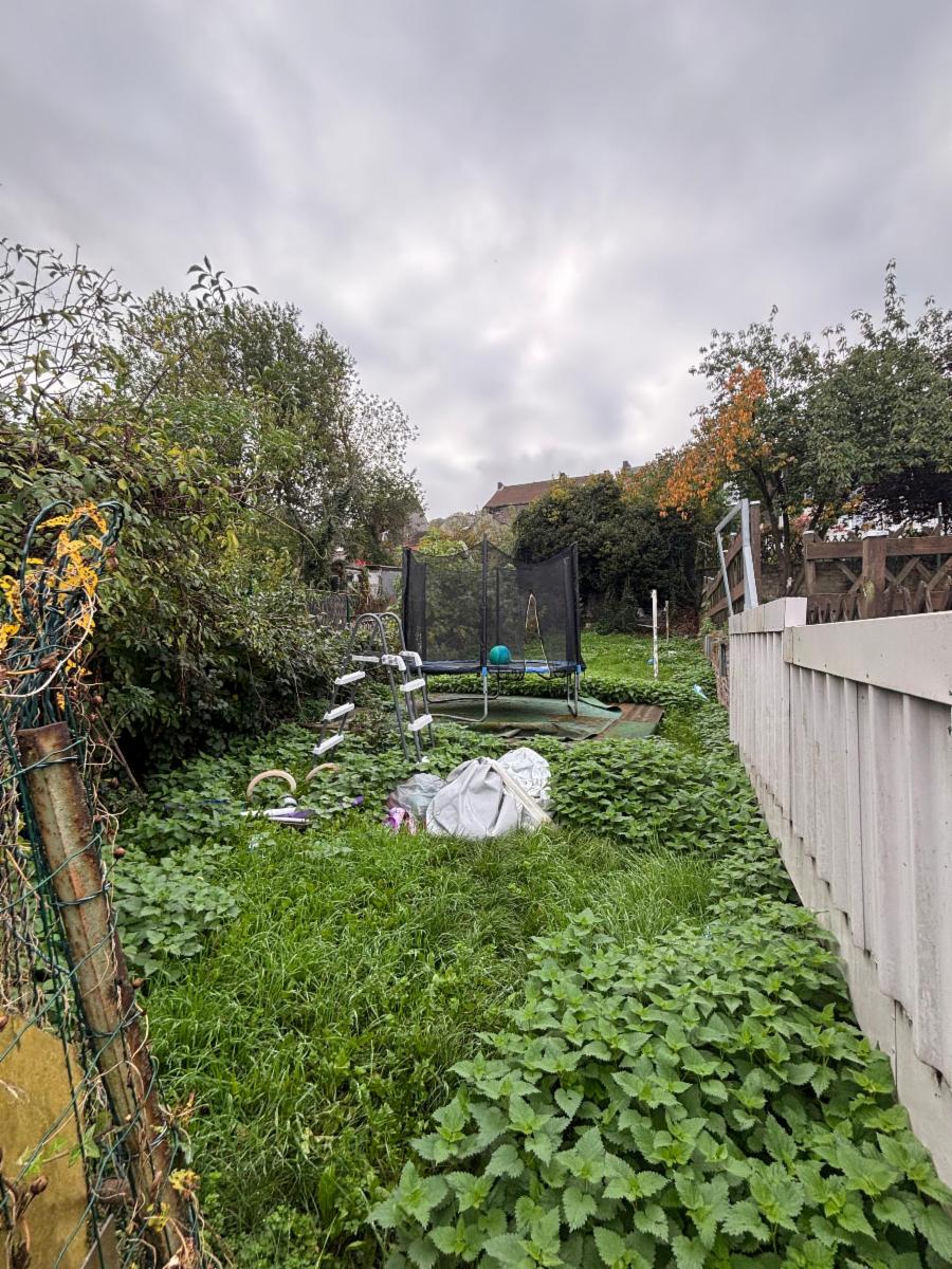 Photo 3 du bien Maison avec jardin.