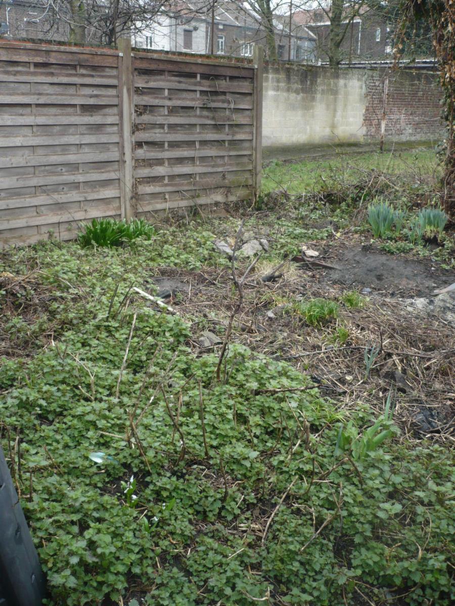 photo 5 du bien Maison d'habitation avec jardin