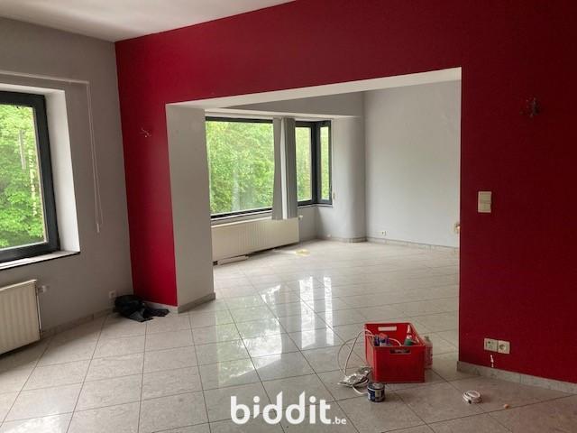 photo 4 du bien Immeuble avec caves,garage,appartement,combles aménageables 