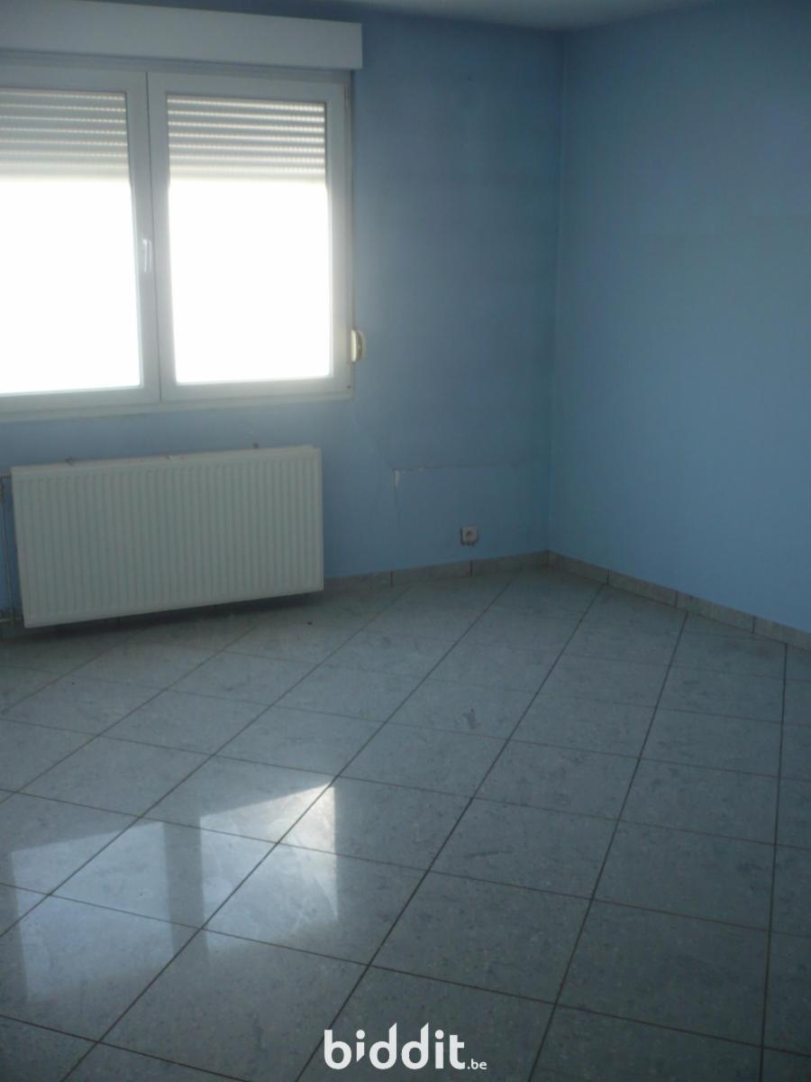 photo 9 du bien Immeuble avec caves,garage,appartement,combles aménageables 