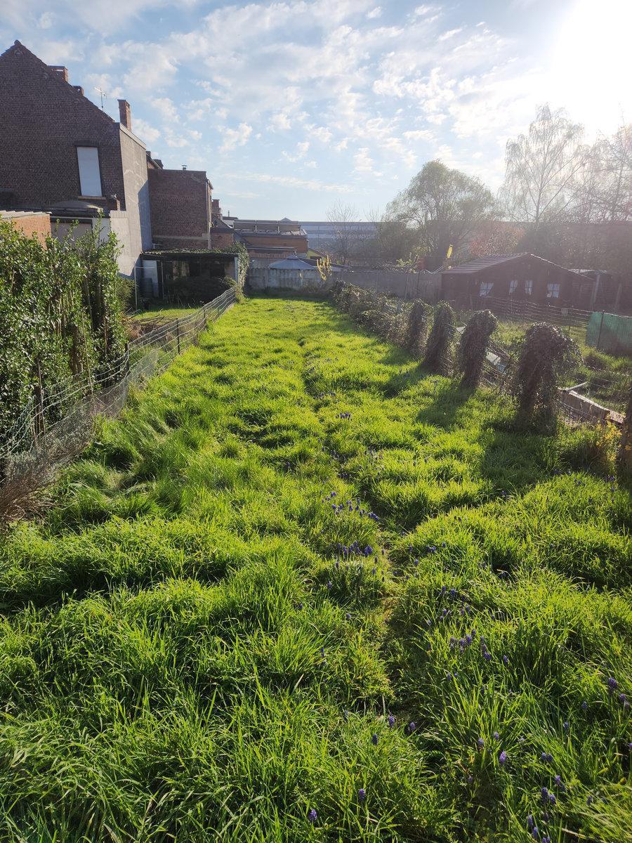 photo 3 du bien Maison 2 façades avec jardin