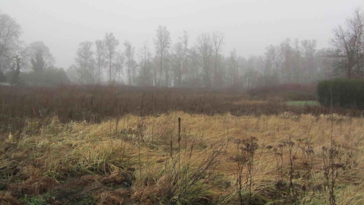 photo 2 du bien Terrain ( lot1)