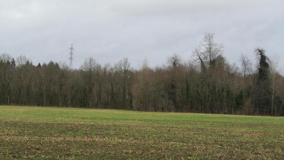 Terrain à vendre - Rue du Calvaire, 7321 Harchies