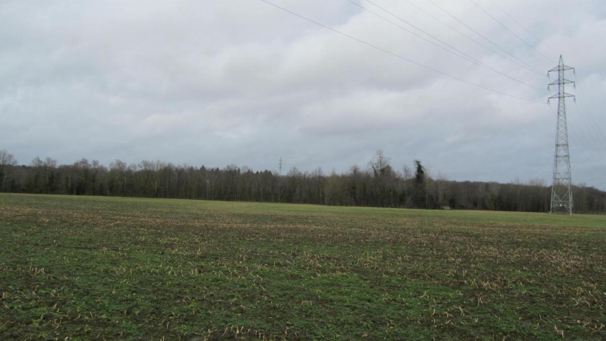 photo 2 du bien Parcelle de bois